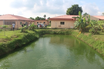 Abuad Farm Fish pond