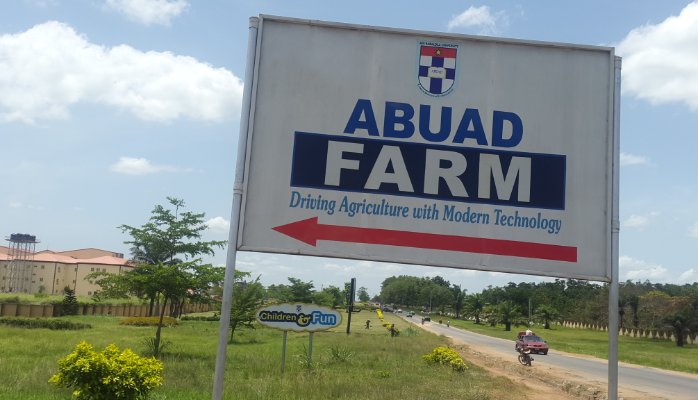 Abuad Farm Junction