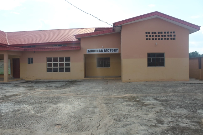 Abuad Farm Moringa